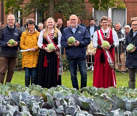 Kohlanschnitt 2025 am Elbeforum Brunsbüttel