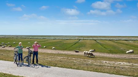 Radfahren mit Weitblick in Dithmarschen