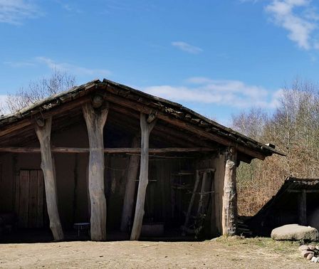 Hütte im Steinzeitpark