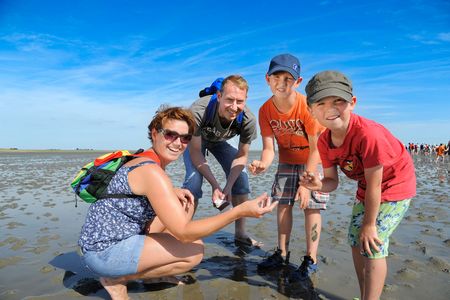 Wattenmeer in Dithmarschen