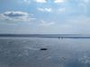 Menschen laufen auf dem Meeressboden im Wattenmeer