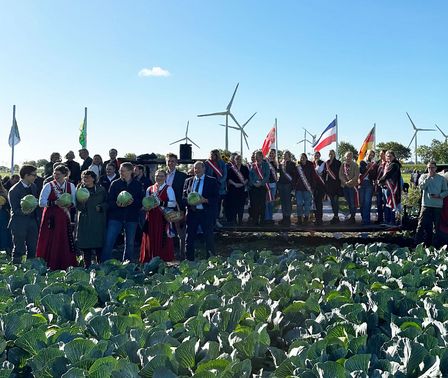 Kohlanschnitt 2026 in Hemme / Zennhusen