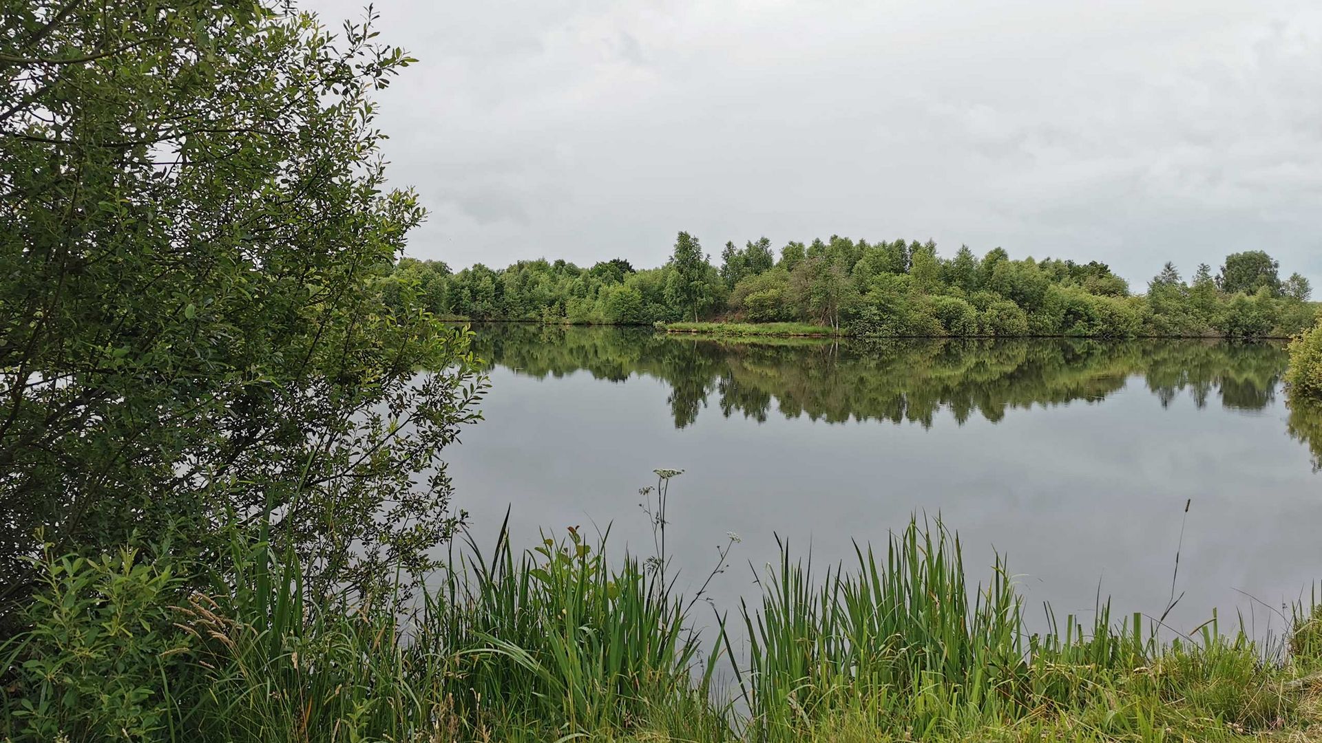 Im Ostroher Moor