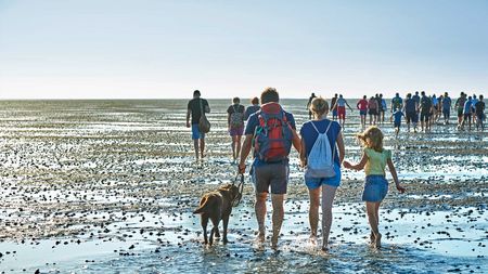 Im Weltnaturerbe Wattenmeer in Dithmarschen