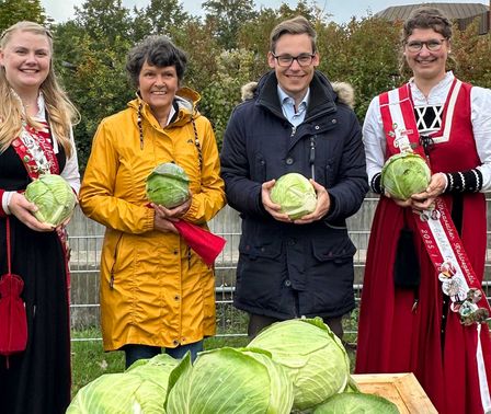 Kohlanschnitt 2025 am Elbeforum Brunsbüttel