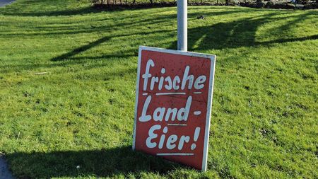 Schild vor einem Dithmarscher Hofladen: frische Landeier!