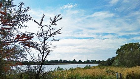 Natur in Dithmarschen